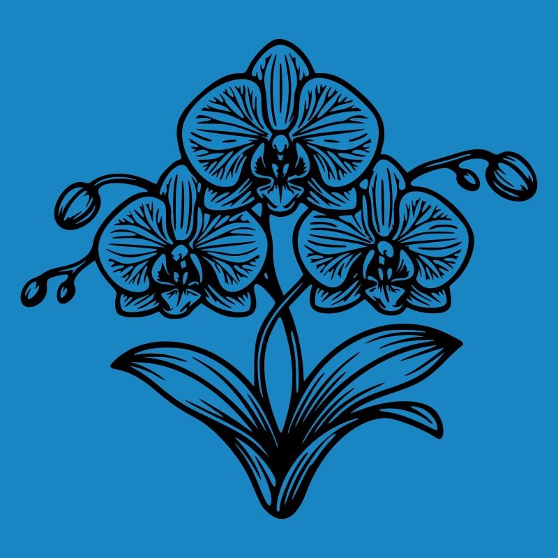 Orchidée 