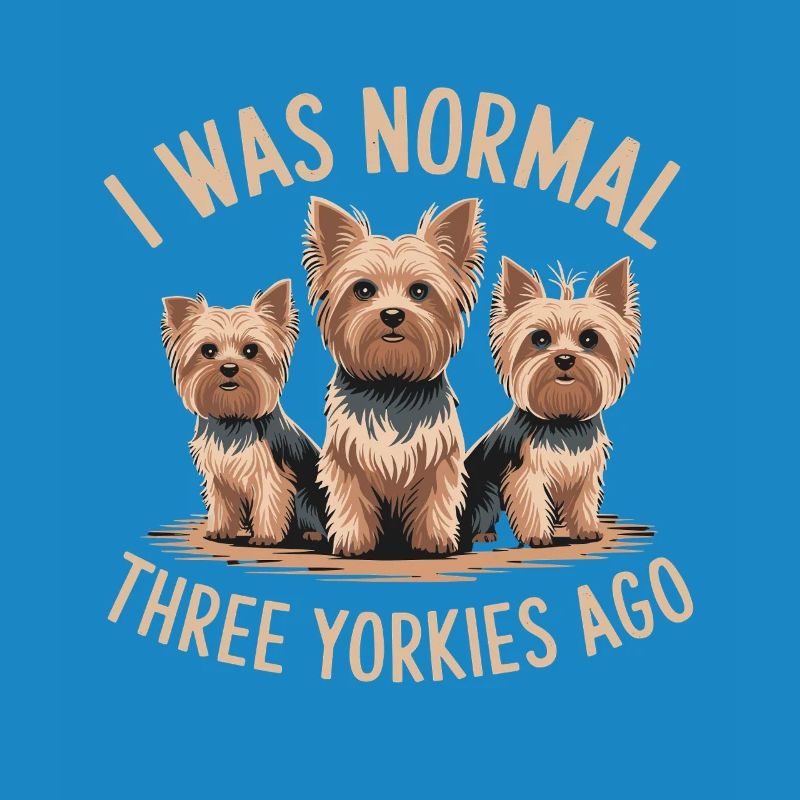 J’étais normal devant trois Yorkies Yorkshire Terrier