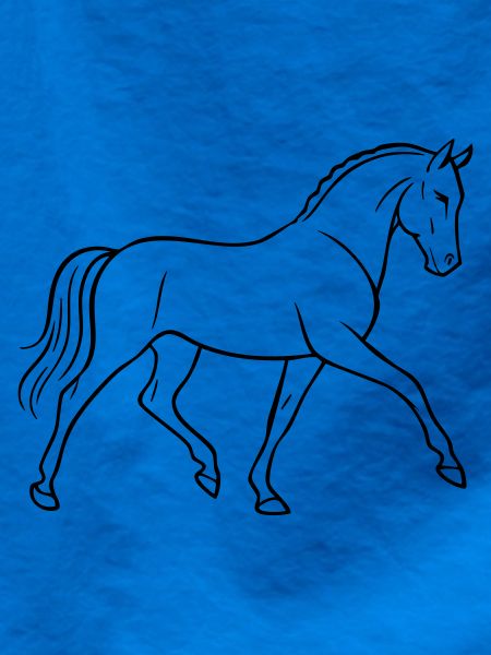 Dressurpferd