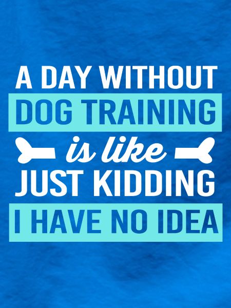 Hundetrainer