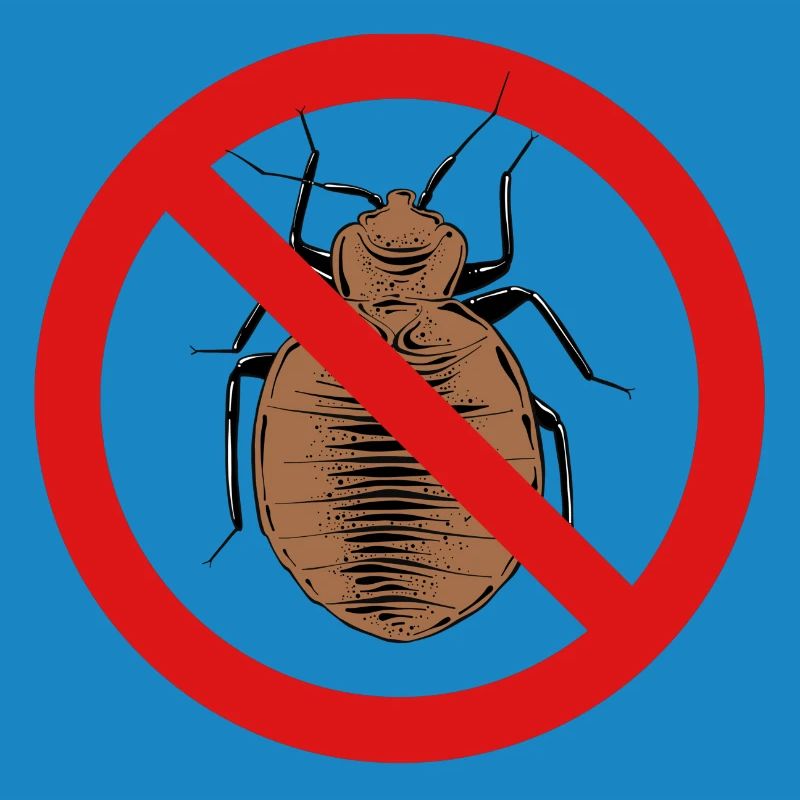bed bug, bed bug