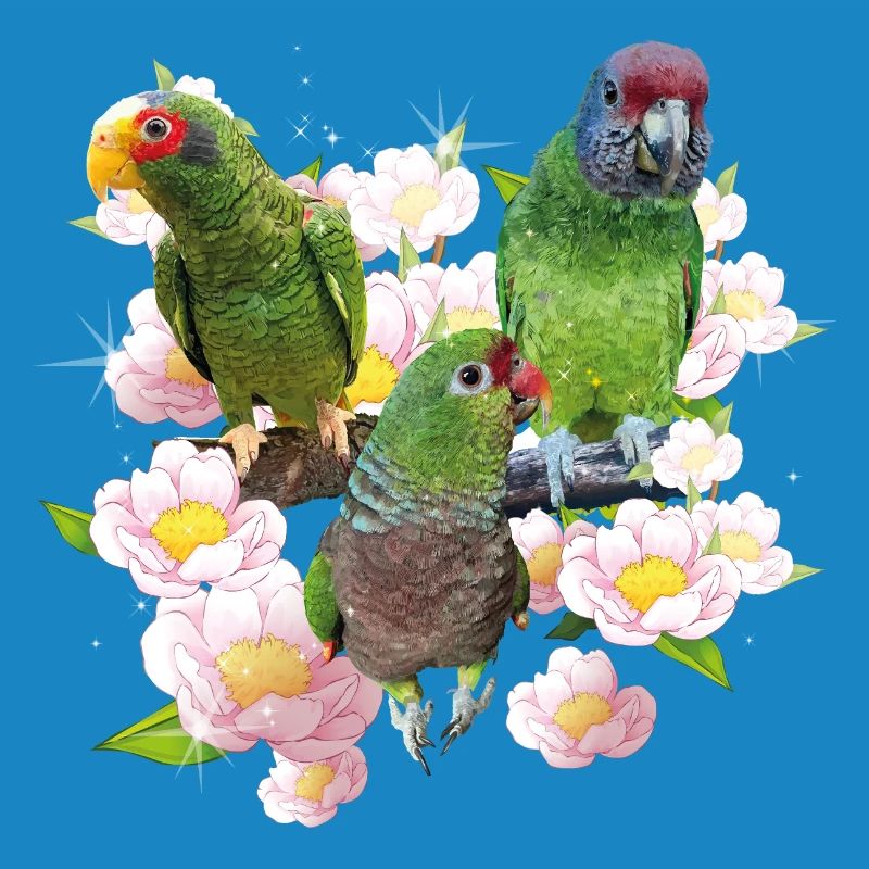 Perroquets