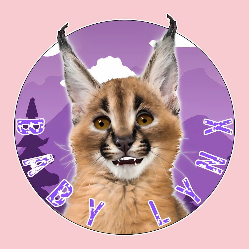 Chat Bébé Lynx