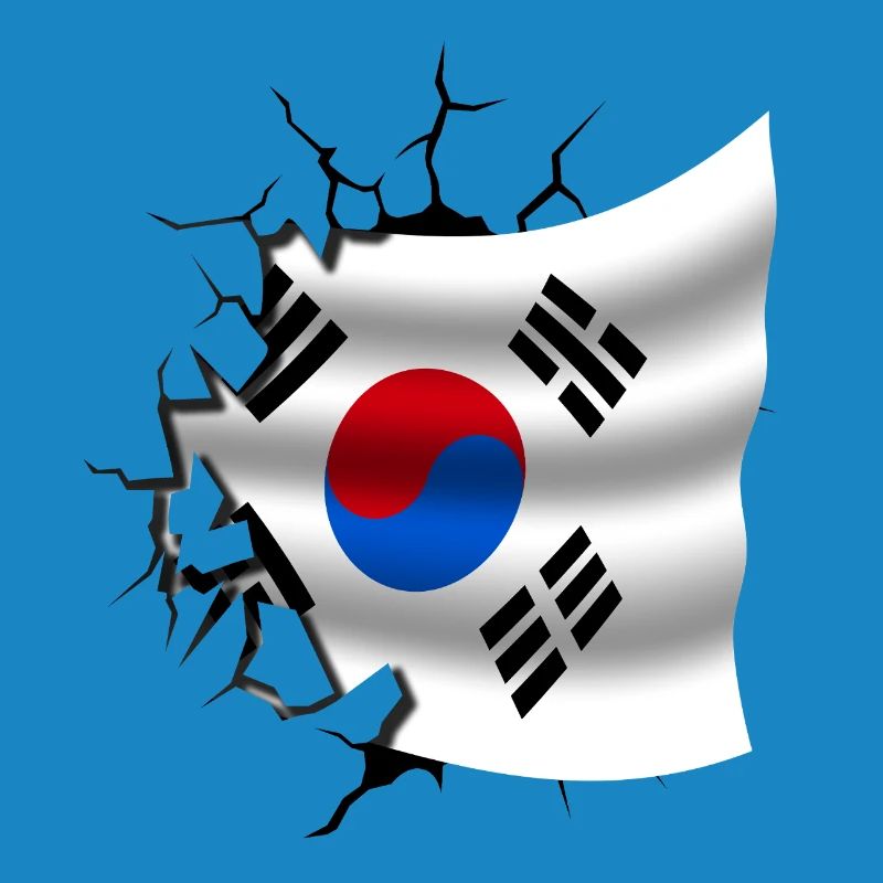 Drapeau de la Corée - Corée - Drapeau Broken Design