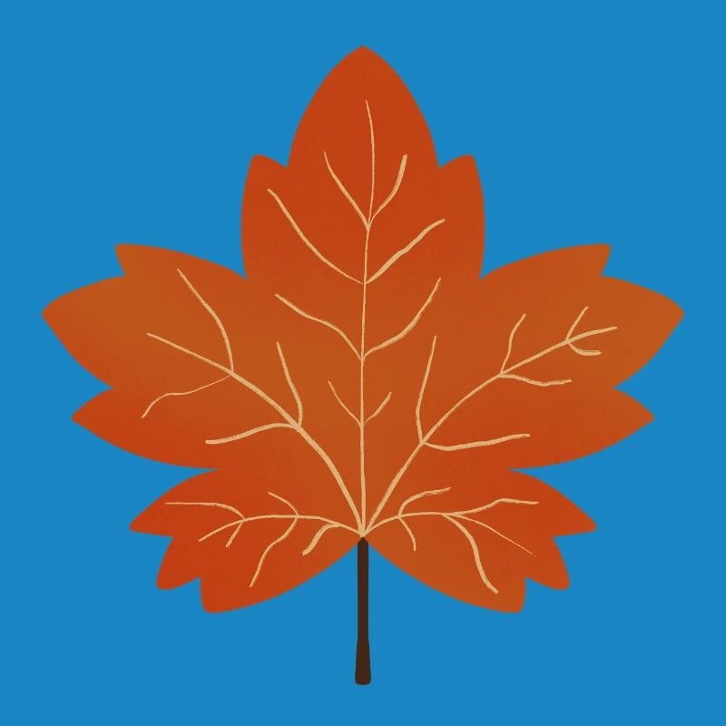 Autumn Maple Leaf Illustration