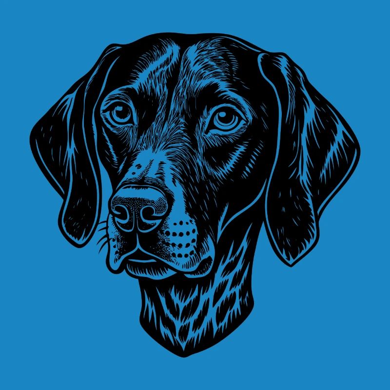 Pointer dog