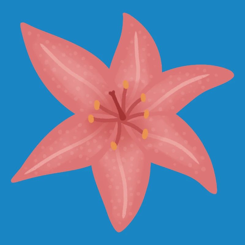 Illustration de fleur de lys rose