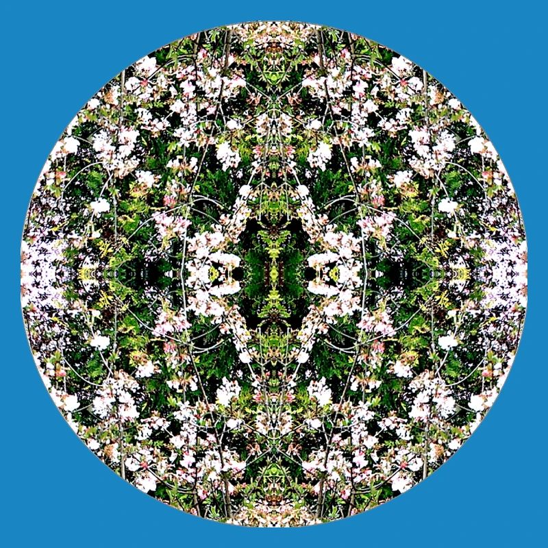 Source du Mandala de la Nature à Nuremberg