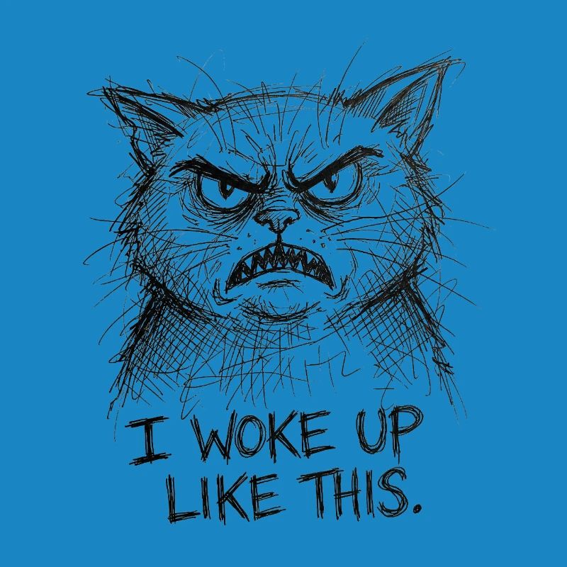 Furious Cat Scribble