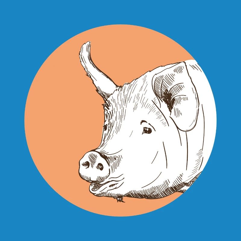 Pig