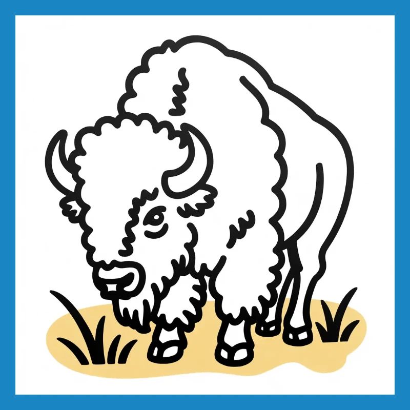 Bison on yellow grass