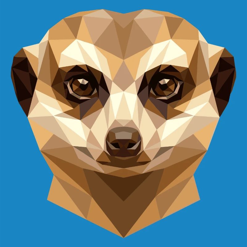 Suricate Suricate Douce Mangouste Suricate