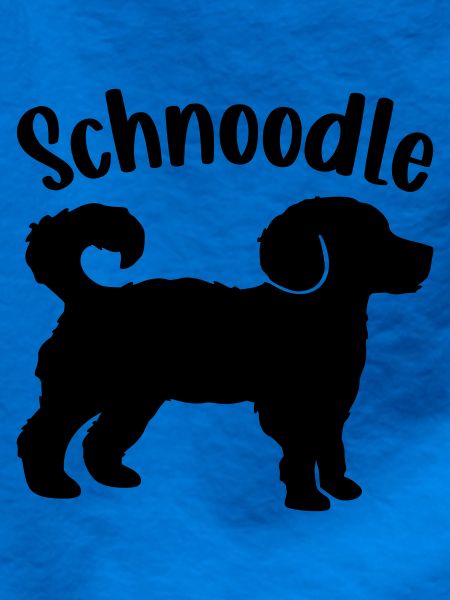 Schnoodle Hunde