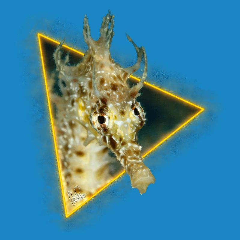 Hippocampe dans un triangle