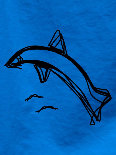 Delfin handgezeichnet