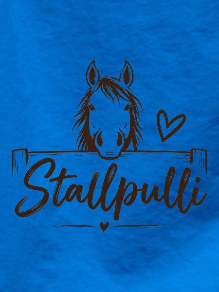Stallpulli - Pferd - Reiterin - Stall - Pullover
