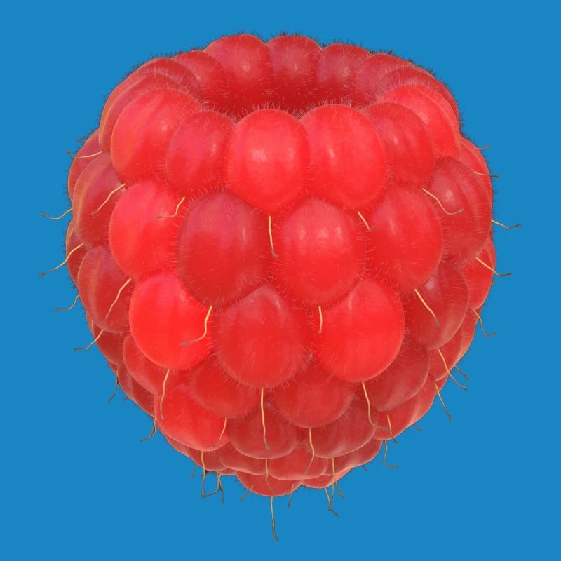 Raspberry Cluster Pattern