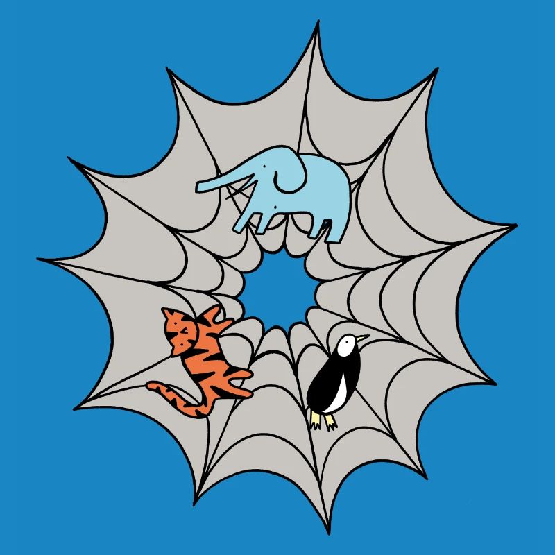 Spider web