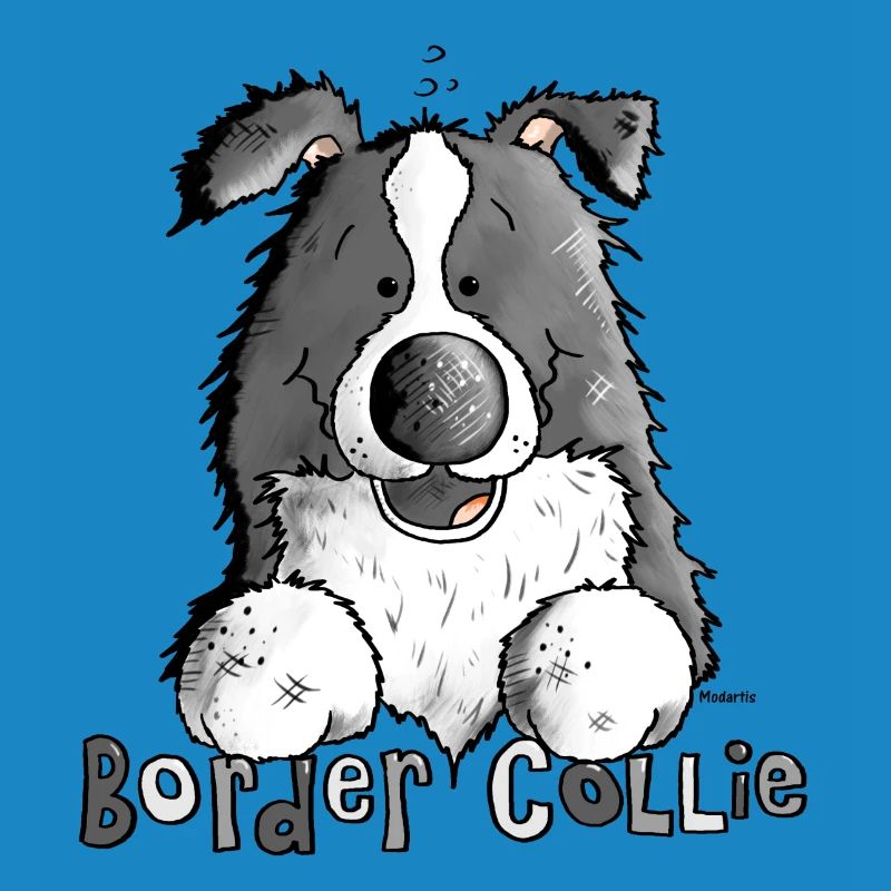 Petit Boder Collie - Chien de Berger