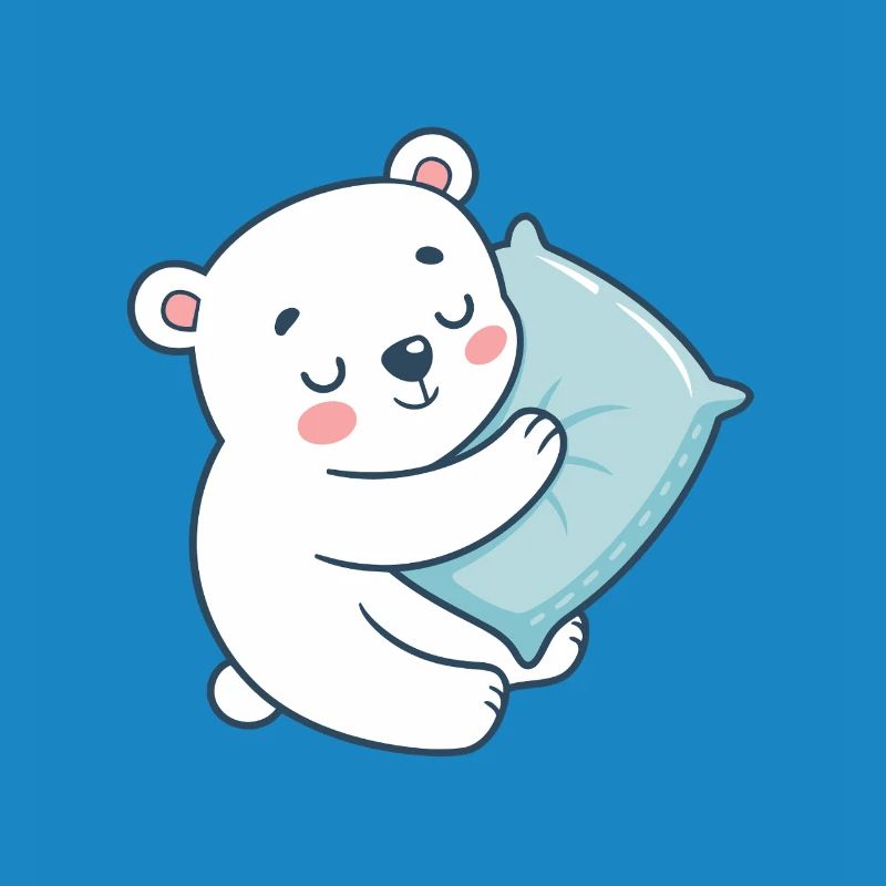 Soft Bear and Blue Pillow