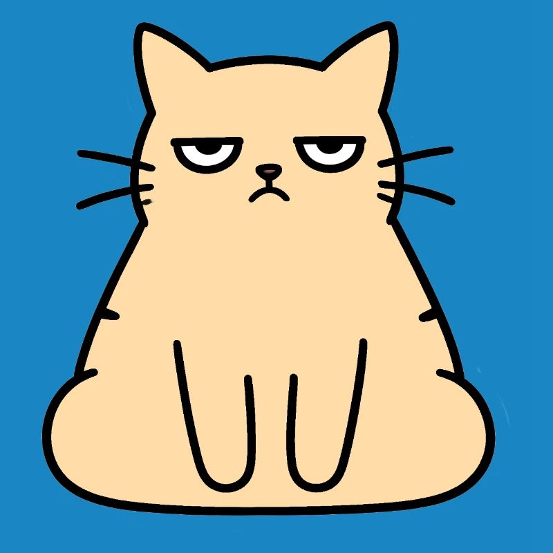 Grumpy Lounge Cat