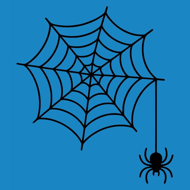 Spider web with spider silhouette