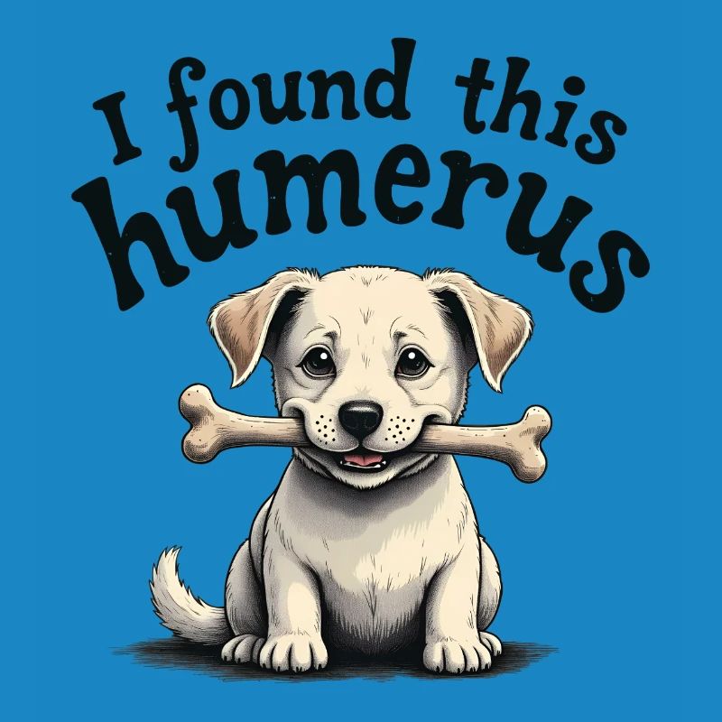I found this humerus