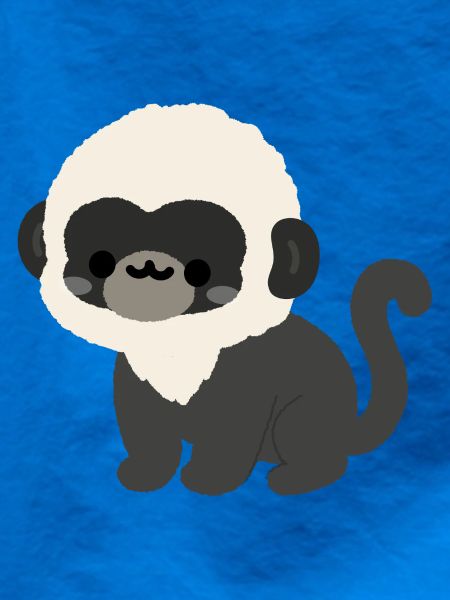 Douc Langur Affe