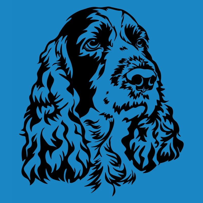 Englischer Springer Spaniel Kopf