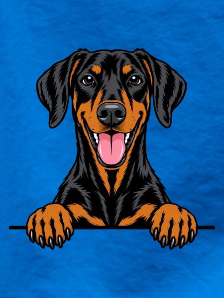 Dobermann Pinscher