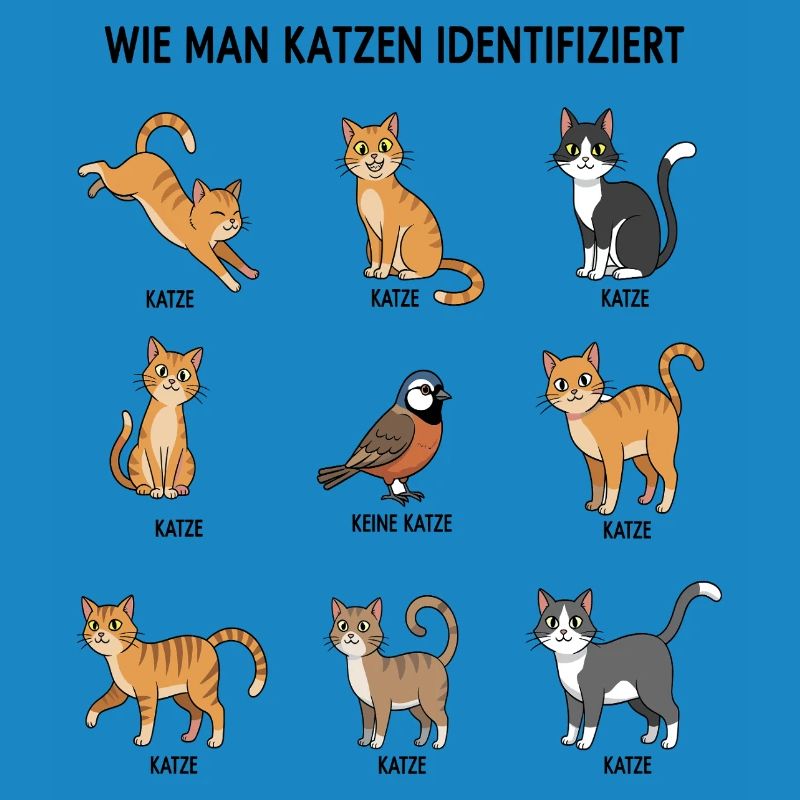 Guide d’identification des chats