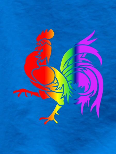 Bunter Regenbogenhahn