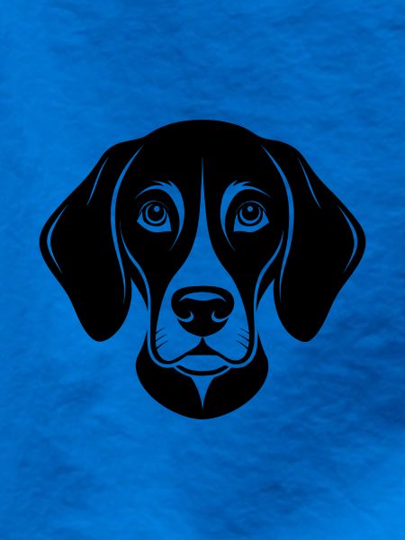 Beagle-Hundekopf