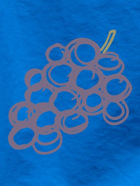 Lavendeltrauben-Cluster-Illustration