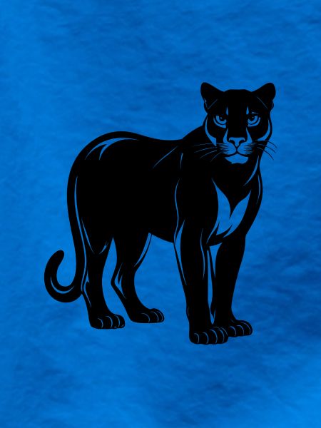 cougar