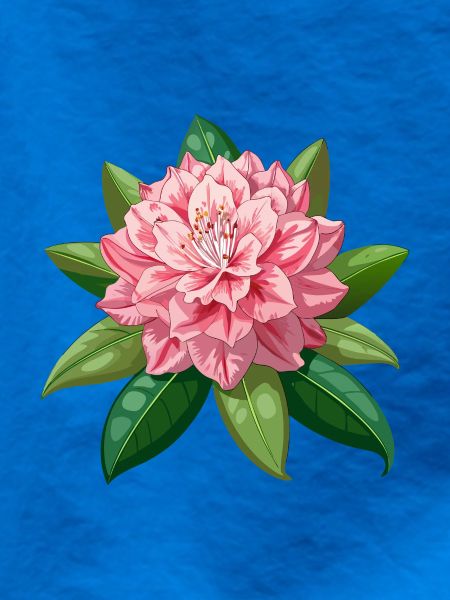 Rhododendronblüte