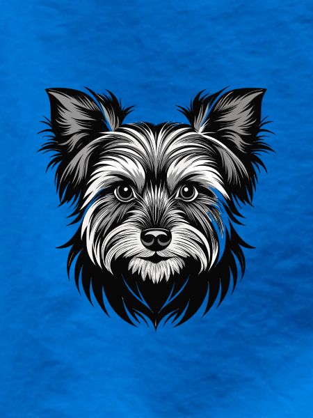 Yorkshire Terrier Hundekopf