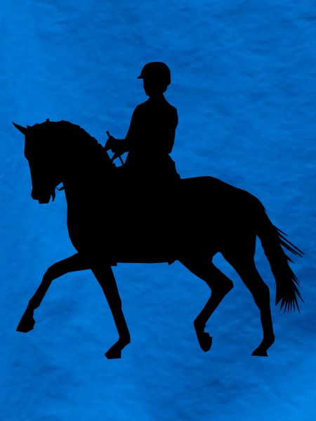 Reiterin mit Pferd
