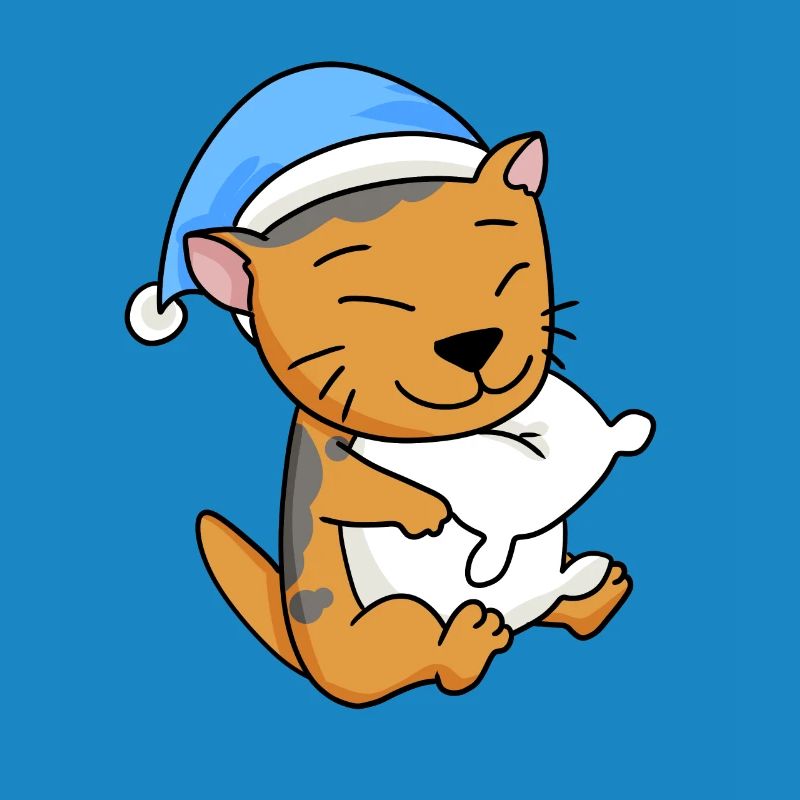 Cat Cat Breed Scottish Folding Ear Cat