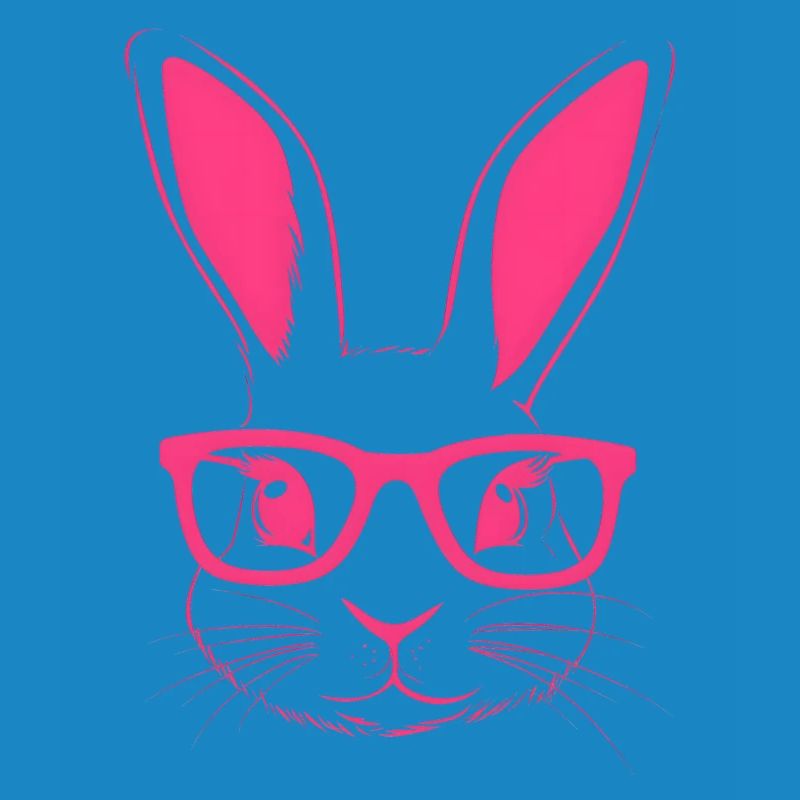 Rabbit Glasses Bunny Bunny Ears Bunny Gift