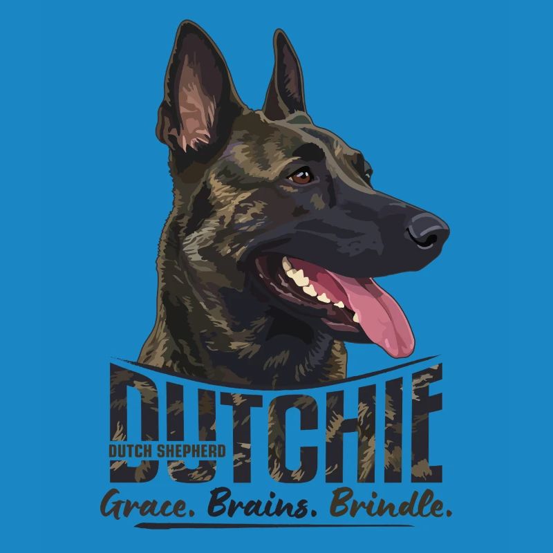 Dutchie - Holländischer Schäferhund