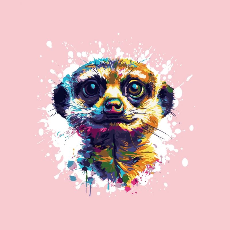 Éclaboussure de portrait de suricate