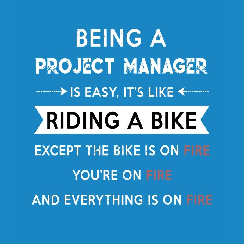 Project Manager on Fire
