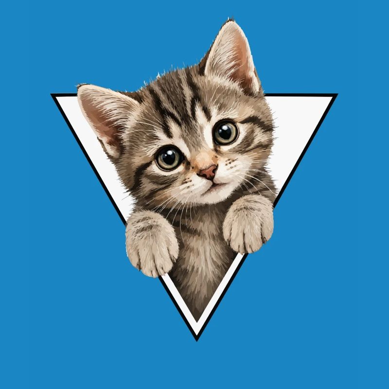 Kitten in the triangle