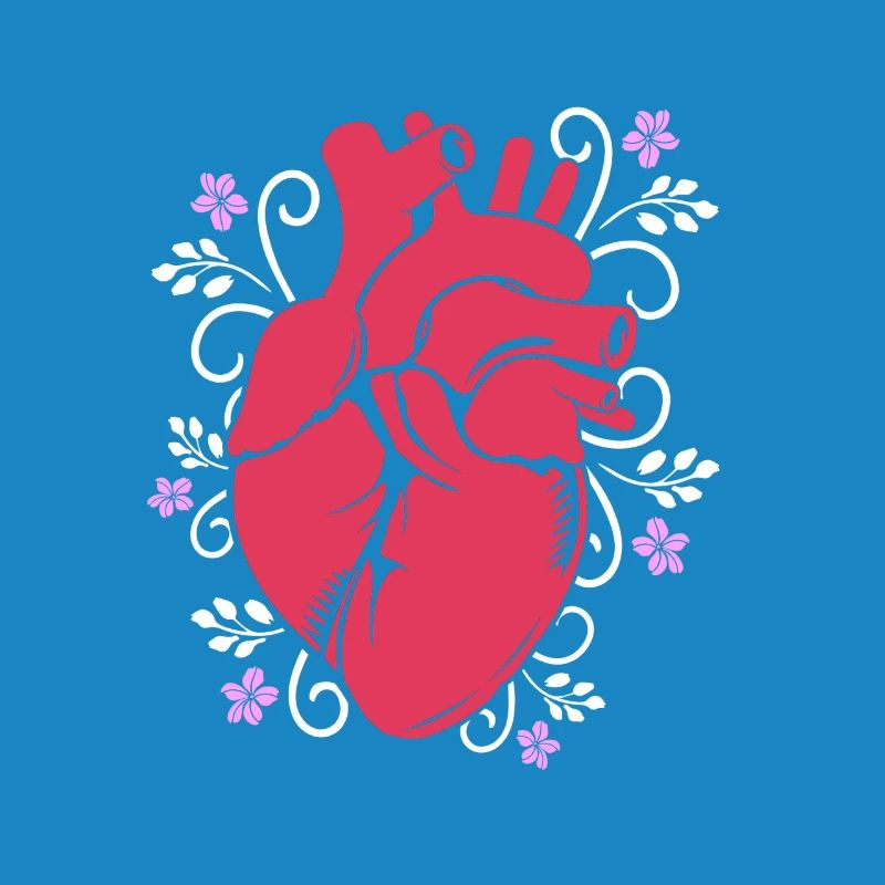 Cardiogram, cardiography, sonography, ultrasound