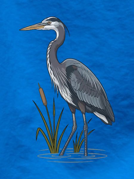 Blaureiher Sumpf Rohrkolben