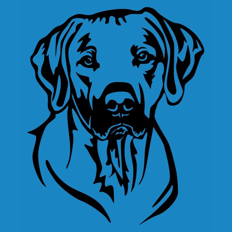 Rhodesian Ridgeback Kopf
