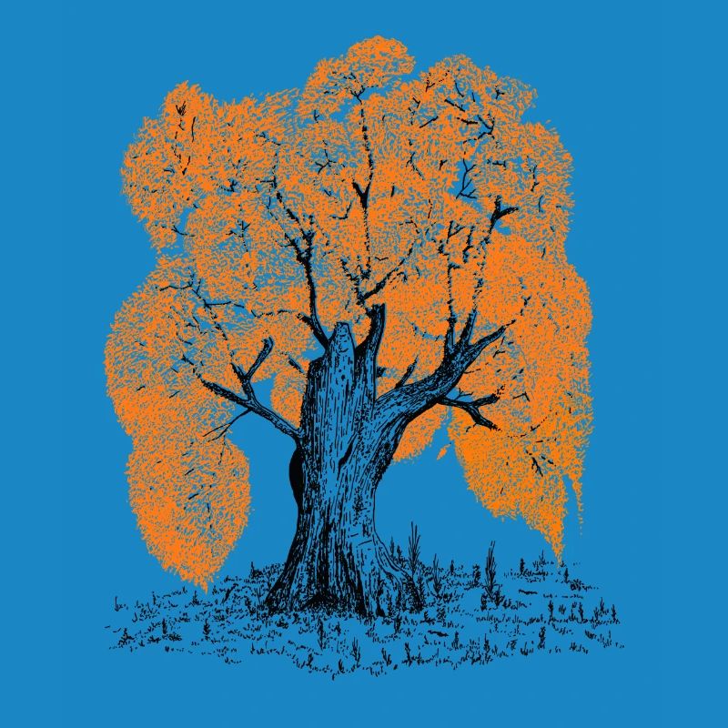 MJR - Orange Tree