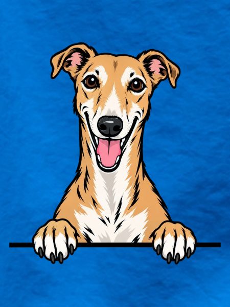 Greyhound
