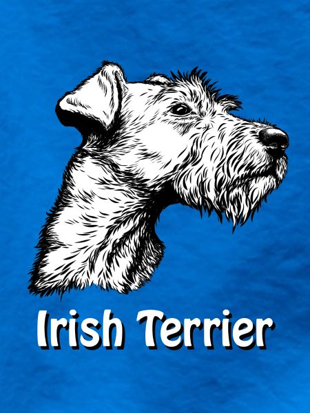 Irish Terrier Portrait